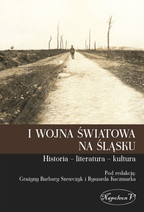 I wojna światowa na Śląsku. Historia – literatura – kultura