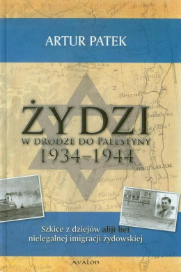 Żydzi w drodze do Palestyny 1934-1944. Szkice z dziejów aliji bet nielegalnej imigracji żydowskiej