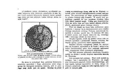 Album Jubileuszowe Grunwald. Szkic historyczny Album Jubileuszowe Grunwald. Szkic historyczny