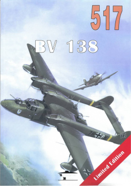 BV 138 nr 517