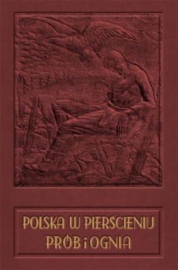 Polska w pierścieniu prób i ognia. Rok 1918-1926