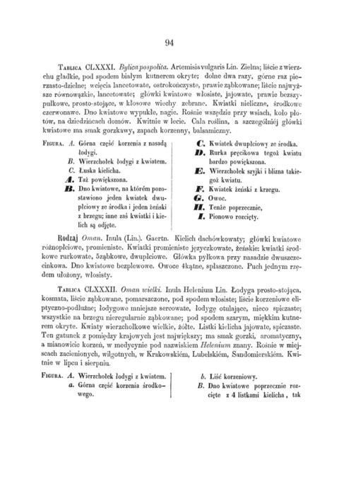 Flora lekarska czyli opisanie cech rodzajowych i gatunkowych wszystkich roślin w medycynie używanych Flora lekarska czyli opisanie cech rodzajowych i gatunkowych wszystkich roślin w medycynie używanych