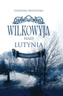 Wilkowyja nad Lutynią XIII - XXI wiek