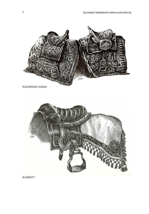 Słownik terminów hipologicznych używanych w Polsce XVI-XVII w. Słownik terminów hipologicznych używanych w Polsce XVI-XVII w.